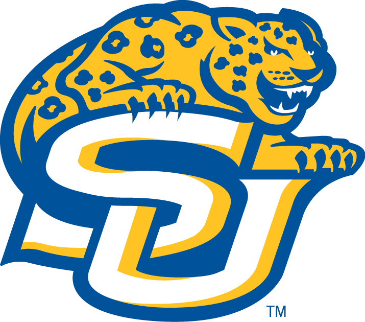 Southern Jaguars 2001-Pres Primary Logo diy iron on heat transfer